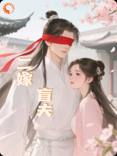 二嫁盲夫