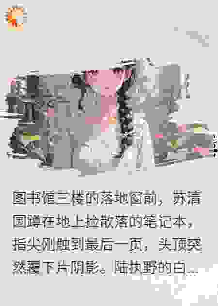 野玫瑰与小雏菊